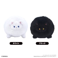 サイレント・ウィッチ 沈黙の魔女の隠しごと くるみたぴぬい | TAPIOCA