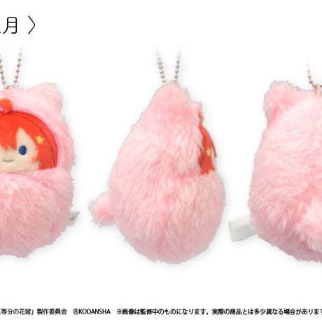 映画五等分の花嫁　くるみたぴぬい