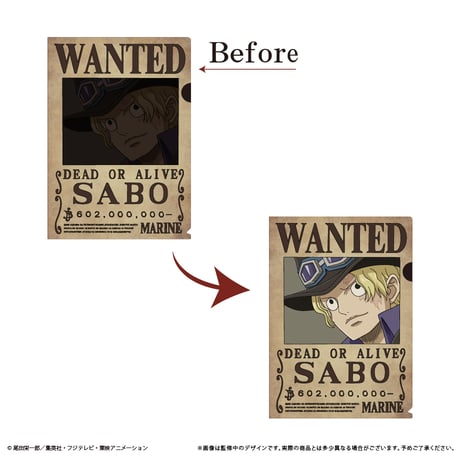 ONE PIECE　手配書トリックファイルvol.5