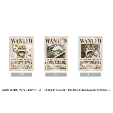 ONE PIECE　アクリル手配書マグネット Vol.3