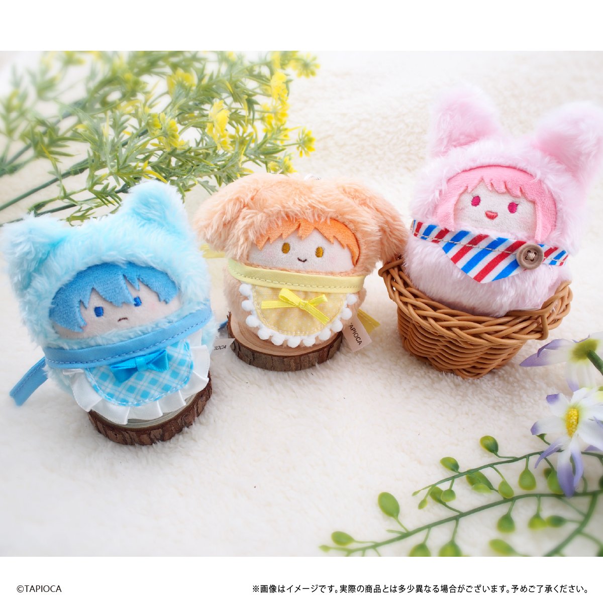 タピオカ オリジナル スタイ Vol.1 | TAPIOCA online shop｜アニメグ