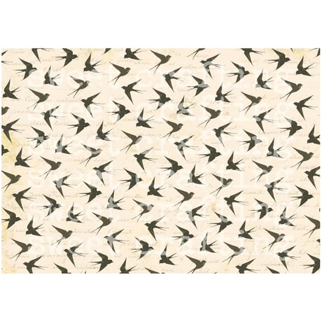 paper swallow