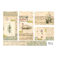 collage sheet winter renewal