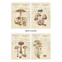 check botanical