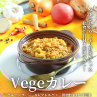 【全国発送】Vegeカレー　250ｇ　2食分