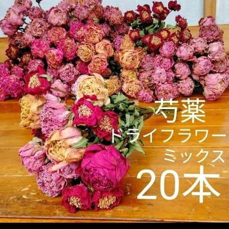 芍薬 しゃくやく ドライフラワー ミックス 20本セット