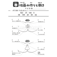 性器の作りと働きシート３点セット