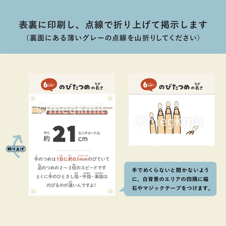 数字で振り返る6年15点セット