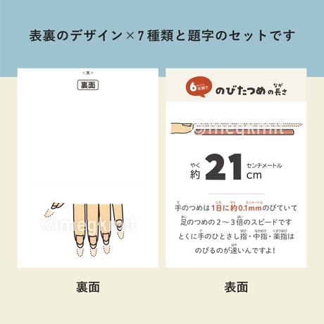 数字で振り返る6年15点セット
