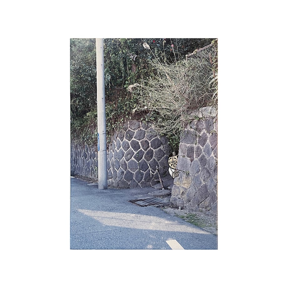 66a0aad5cd92fe002cb1617f