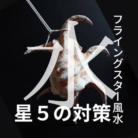 【風水グッズ】水字貝