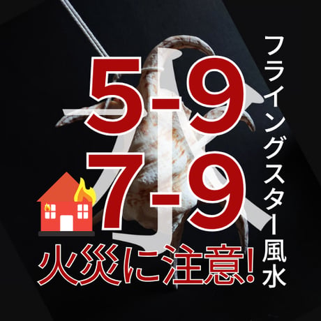 【風水グッズ】水字貝