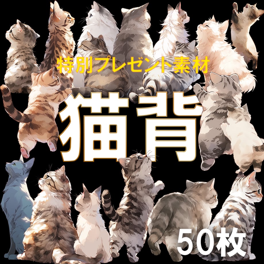64607a7c85e36300757eb54d