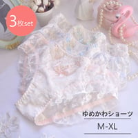 3枚セット　総レースショーツ【CL1059】