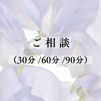 ご相談 (60分 / 90分)