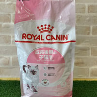 ロイヤルカナン　成長後期の子猫用　キトン