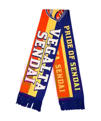 フランス代表 リベリー選手 アディダス | ANREAL STORE