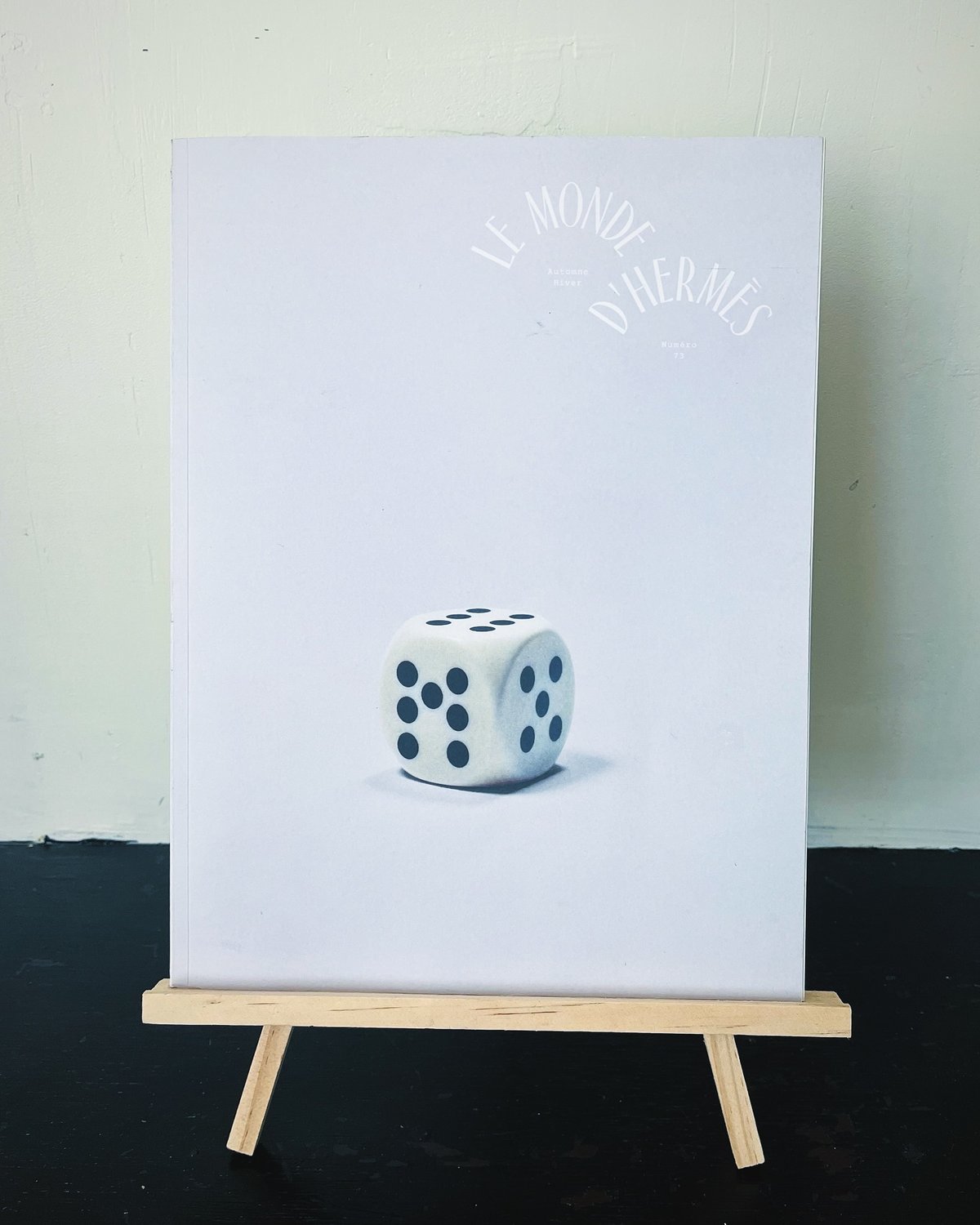 LE MONDE D'HERMÈS | Thrift shop Shiya Shica