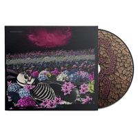 【残1】Dead Rabbitts - REDEFINED CD