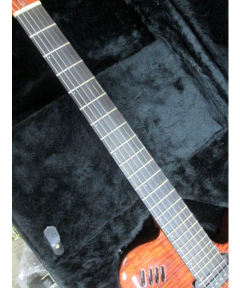 Godin LG ゴダン ソリッドエレキギター Godin LGX-SA | merrygoround7's STORE