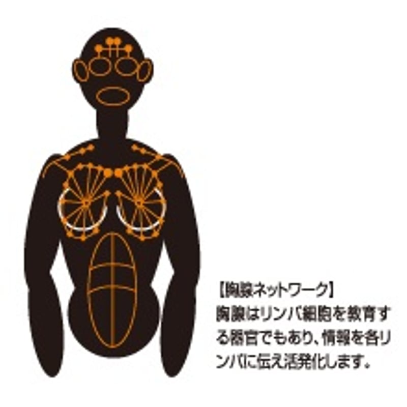 Kマッサージアンジェル〈胸腺・全身マッサージジェル