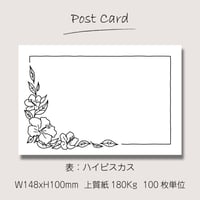●2個目から50％OFF！● ポストカード（100枚単位）｜Black｜ハイビスカス