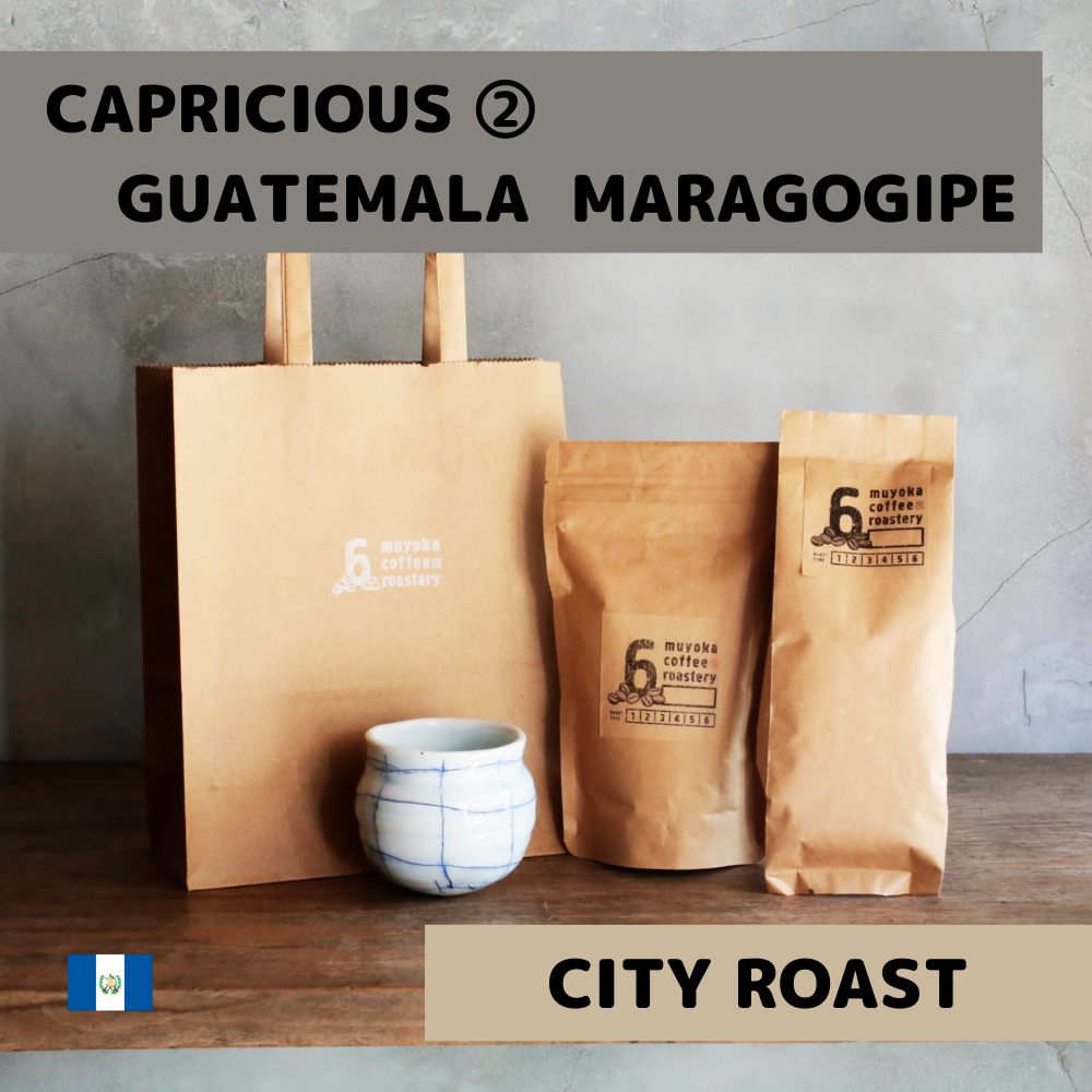 ラテさま専用ページꕀෆ¨ ネコラテ（抹茶ラテ・ほうじ茶ラテ）ギフト 通販｜みたらしちゃん