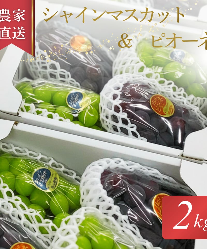 岡山県産シャインマスカット・ピオーネ2kg（3〜5房）贈答用 | ぶどう
