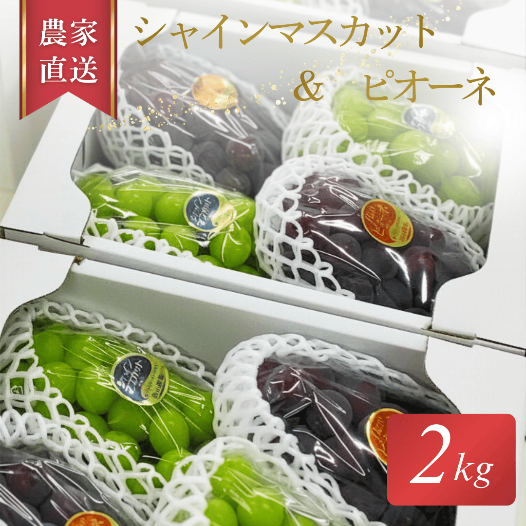 岡山県産　農家直送　シャインマスカット　ピオーネ 岡山県産シャインマスカット・ピオーネ2kg（3〜5房）贈答用 | ぶどう