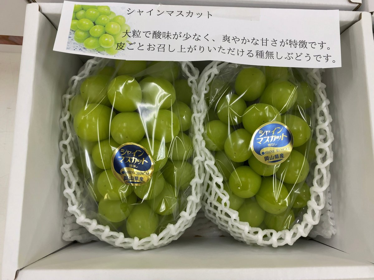 贈答用】岡山県産シャインマスカット | ぶどうファーム吉田-岡山-