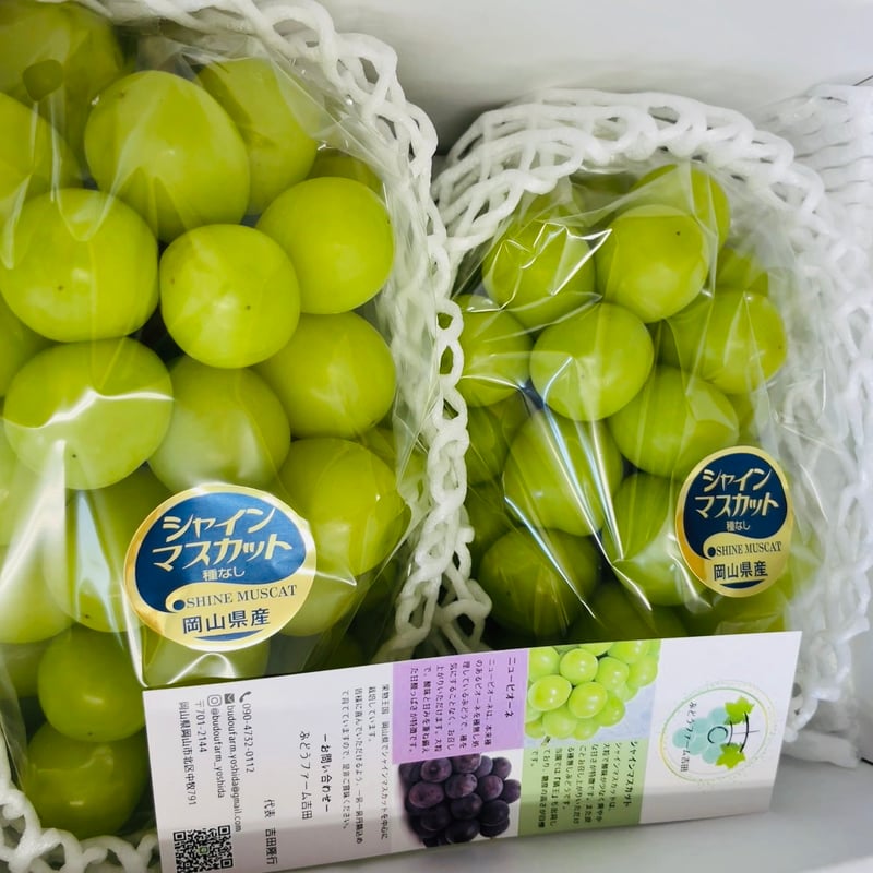 贈答用】シャインマスカット（化粧箱入り・2房） | ぶどうファーム