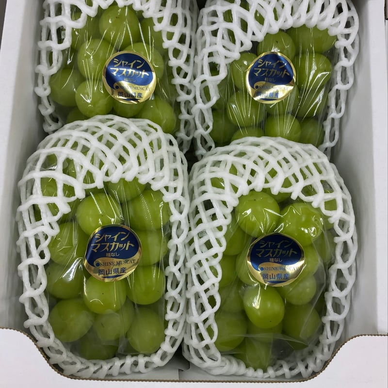 贈答用】岡山県産シャインマスカット | ぶどうファーム吉田-岡山-
