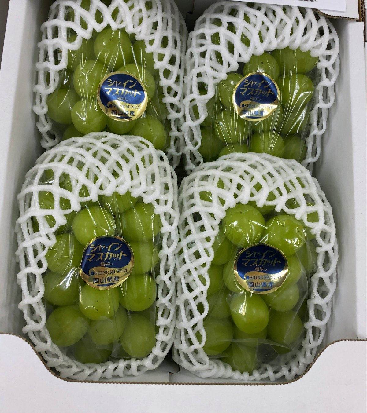 贈答用】岡山県産シャインマスカット | ぶどうファーム吉田-岡山-