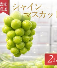 赤秀】岡山県産シャインマスカット 2房（約1kg〜1.2kg）贈答用