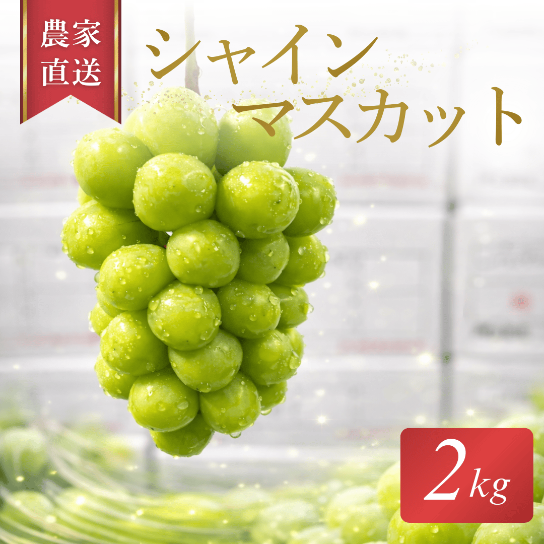 岡山県産シャインマスカット2kg（3〜5房）贈答用 | ぶどうファーム