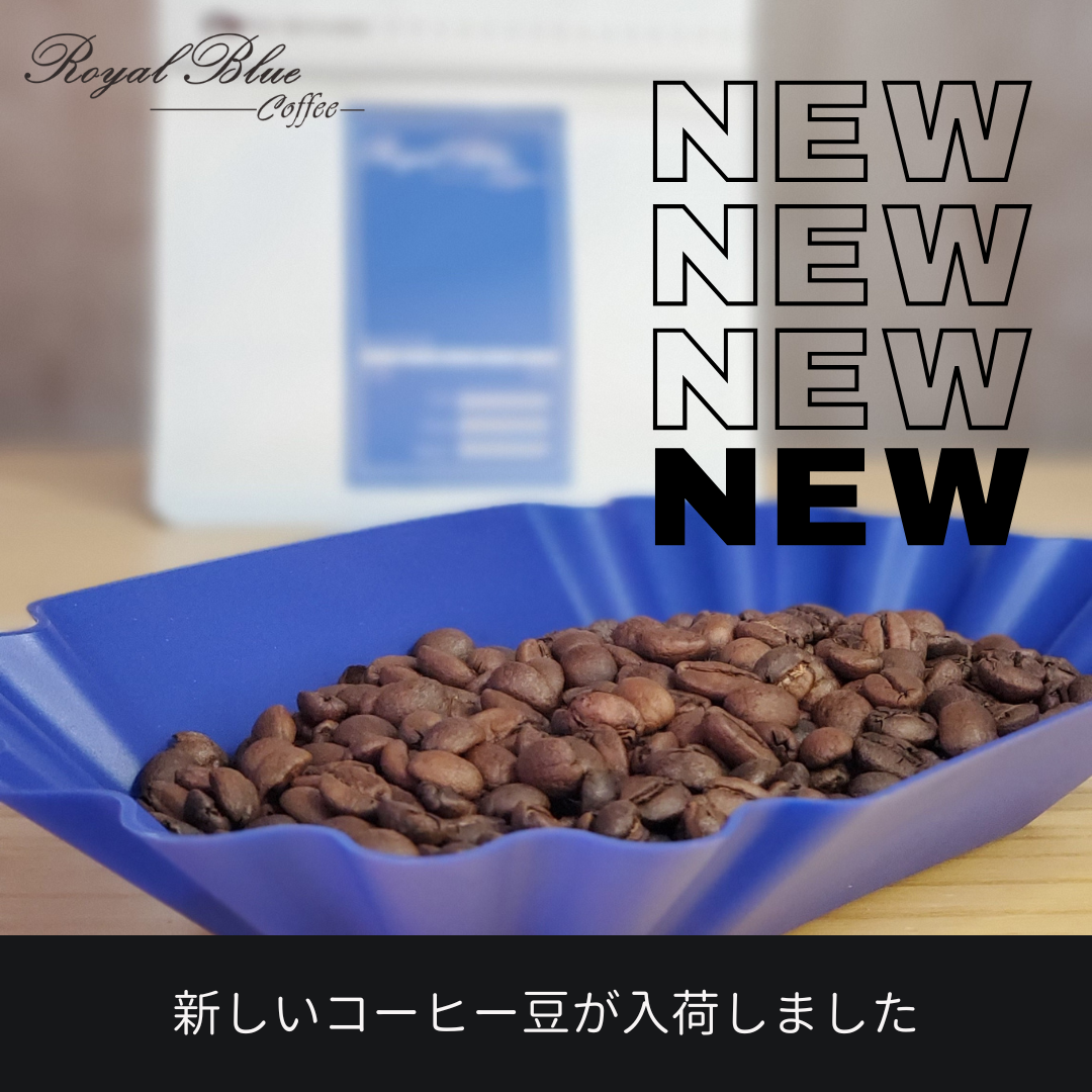 新豆）タンザニア ンソガ アナエロビックナチュラル（コーヒー豆100g