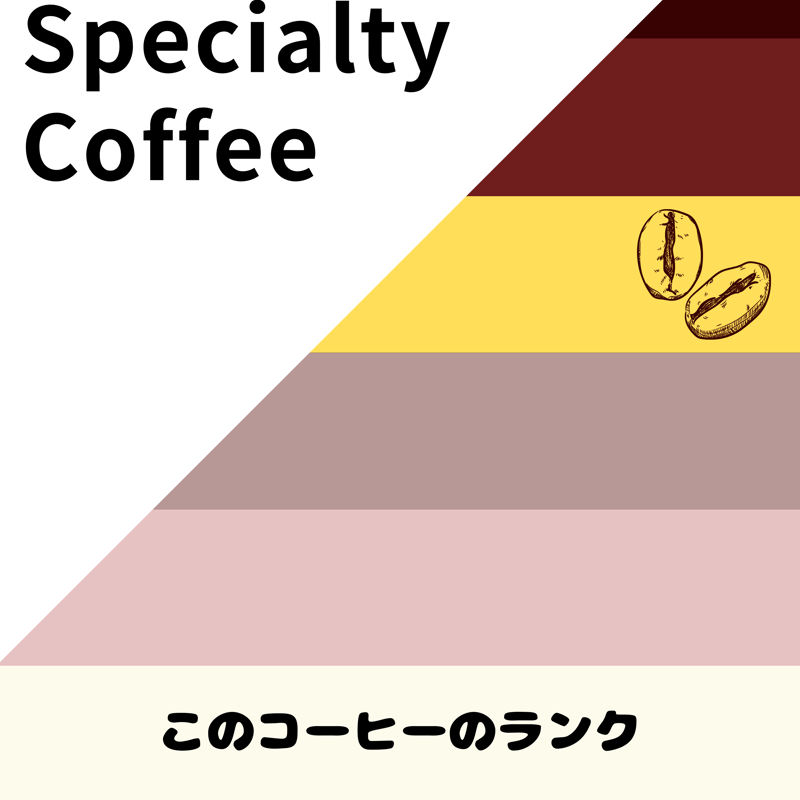 新豆）タンザニア ンソガ アナエロビックナチュラル（コーヒー豆100g