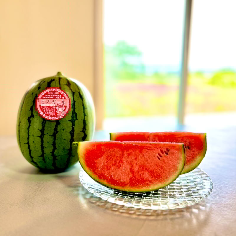 タネまで食べられる奇跡の小玉スイカ、ピノガール。※2025年5月末発送