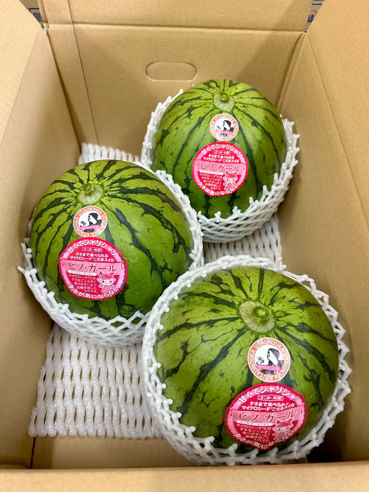 タネまで食べられる奇跡の小玉スイカ、ピノガール。※2025年5月末発送