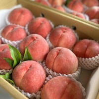 朝採れ桃 【浅間白桃】 山梨県甲州玉宮産　箱詰め　約４ｋｇ（大玉×11個～12個）