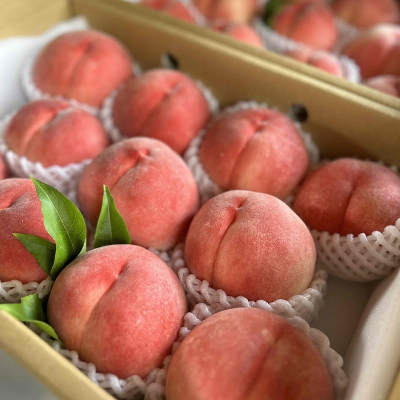 桃蓮玉様 桃八農園 STORE