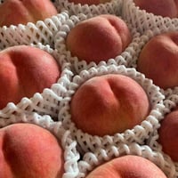 朝採れ桃 【川中島白桃】 山梨県甲州玉宮産　箱詰め　約２ｋｇ （大玉×6個前後）