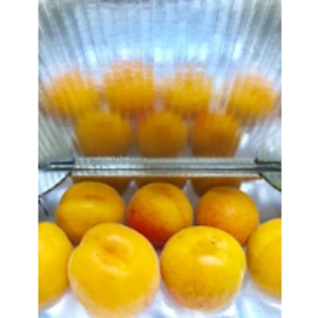 IZAKクールダン100アルミ【100サイズ】（30枚SET）