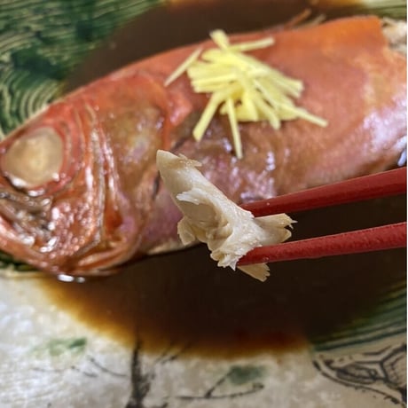 恋する金目鯛