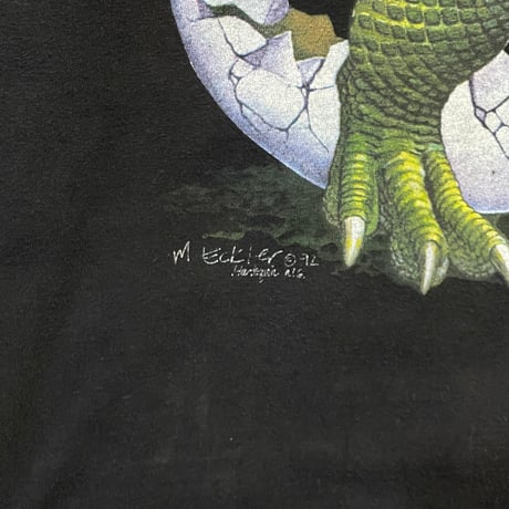 90s Hanes Beefy body 孵化したて恐竜 Long sleeve T-shirt