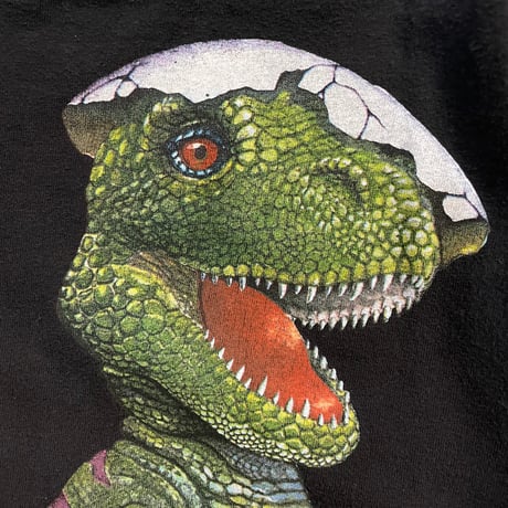 90s Hanes Beefy body 孵化したて恐竜 Long sleeve T-shirt
