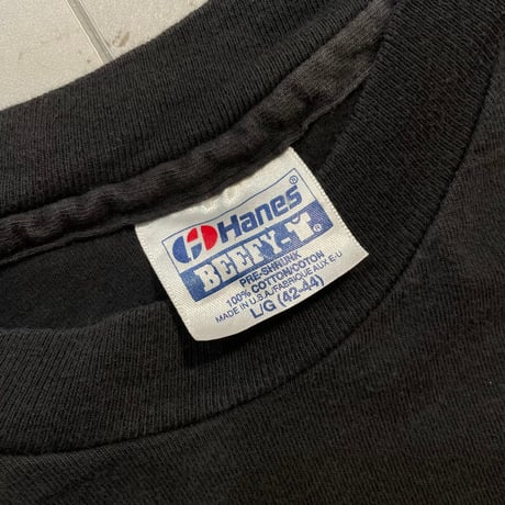 90s Hanes Beefy body 孵化したて恐竜 Long sleeve T-shirt