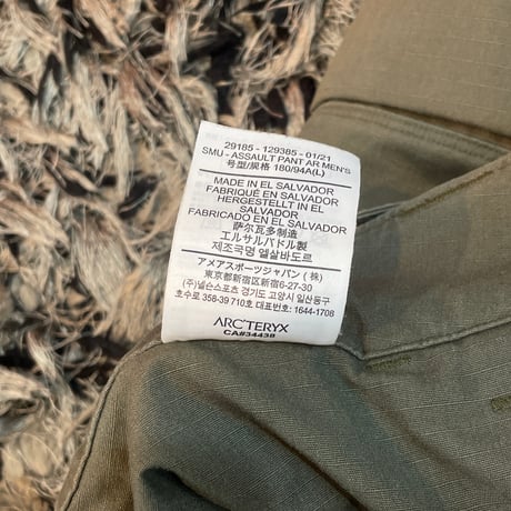 "Arcteryx" cargo pants