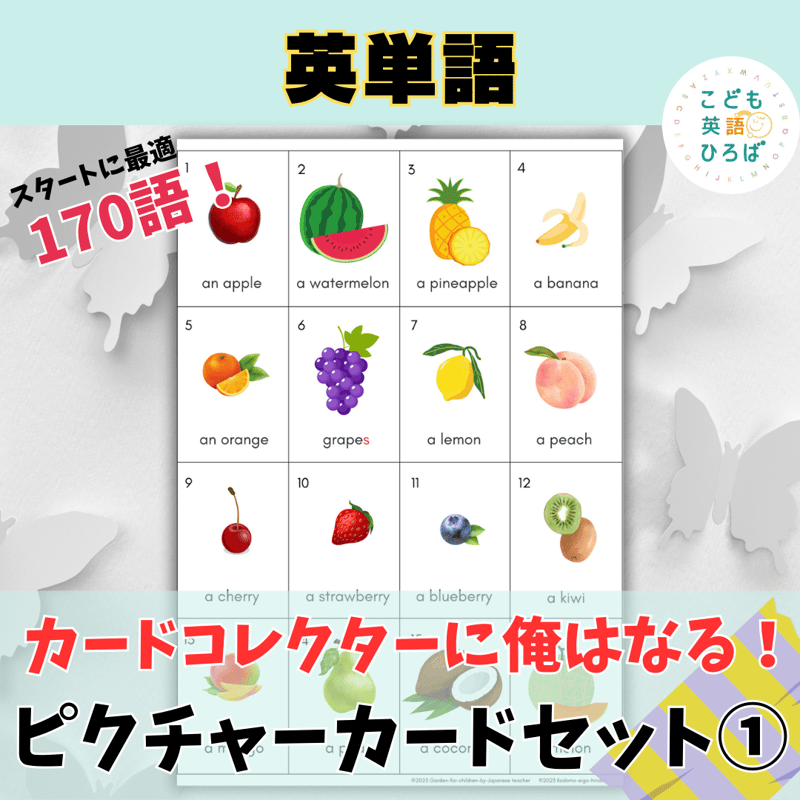 英語学習用カードセット　Picture Card 英語学習用 Picture Cards セット 英語学習用 Picture Cards セット