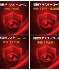 観破学　マスターコース中級【スピ編】_動画4セット